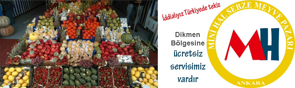 Dikmen Bölgesine Ücretsiz Servis